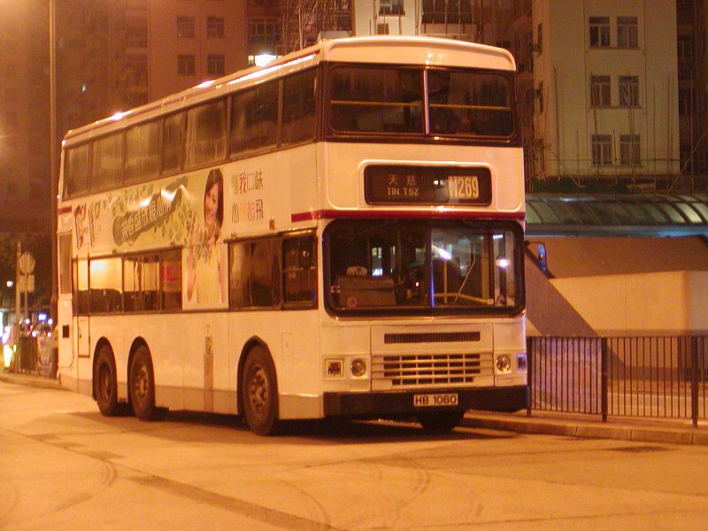 P1010052.jpg