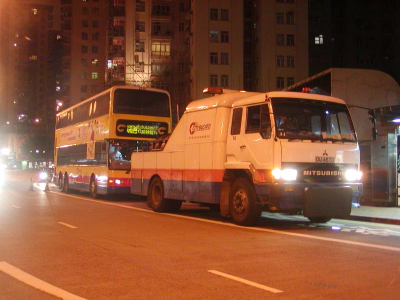 P1010086.jpg