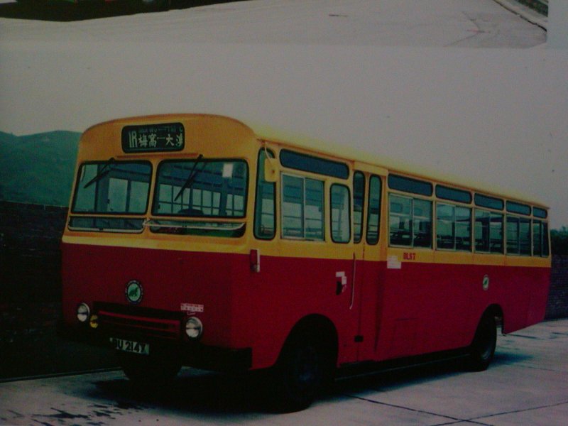 P1010060.jpg