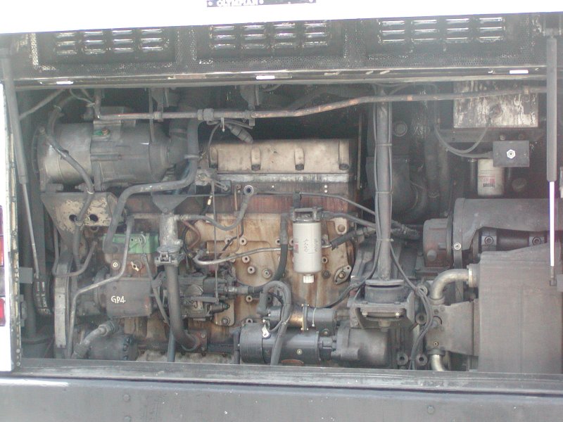 bclub_al1_i8.jpg