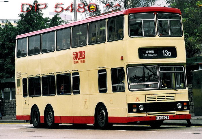 DY9803@13D-I.jpg