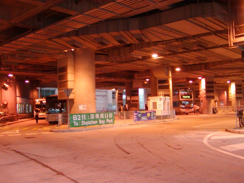 P1010003.jpg