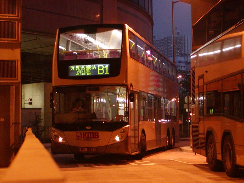 P1010033.jpg