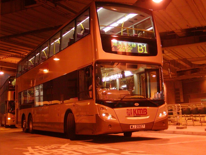 P1010025.jpg