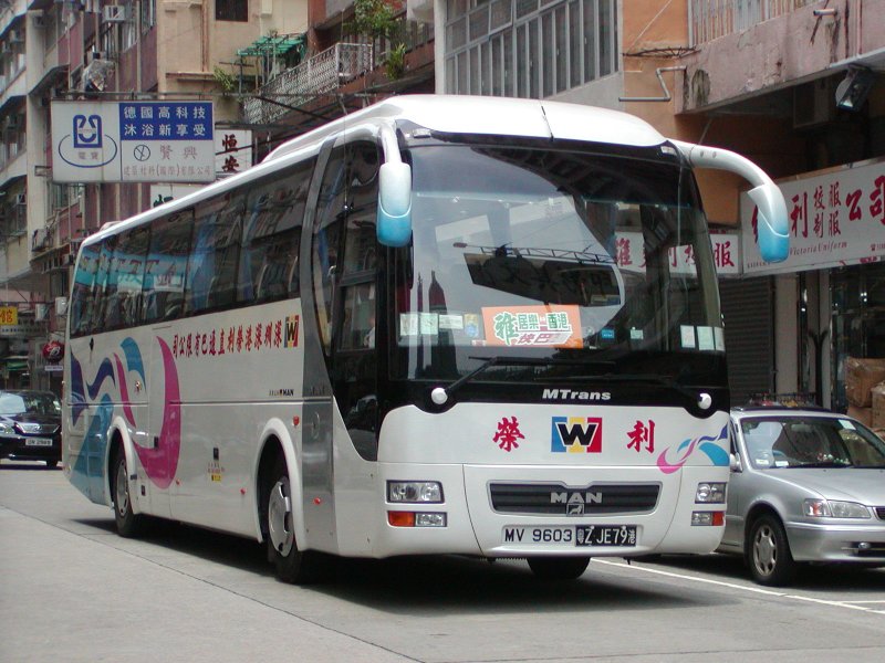P1010139.jpg