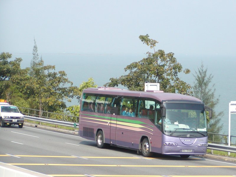 P1010019.jpg