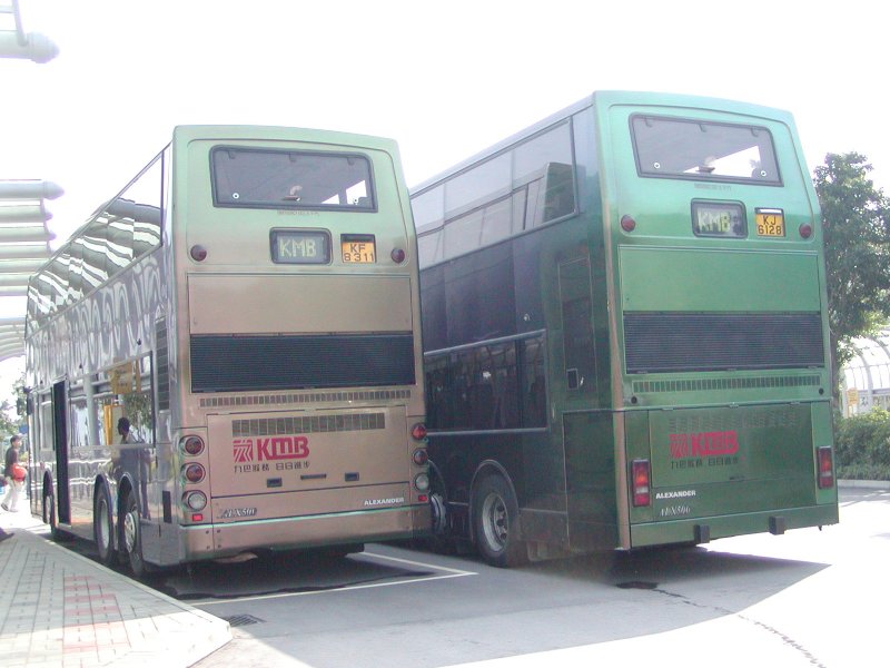 P1010043.jpg