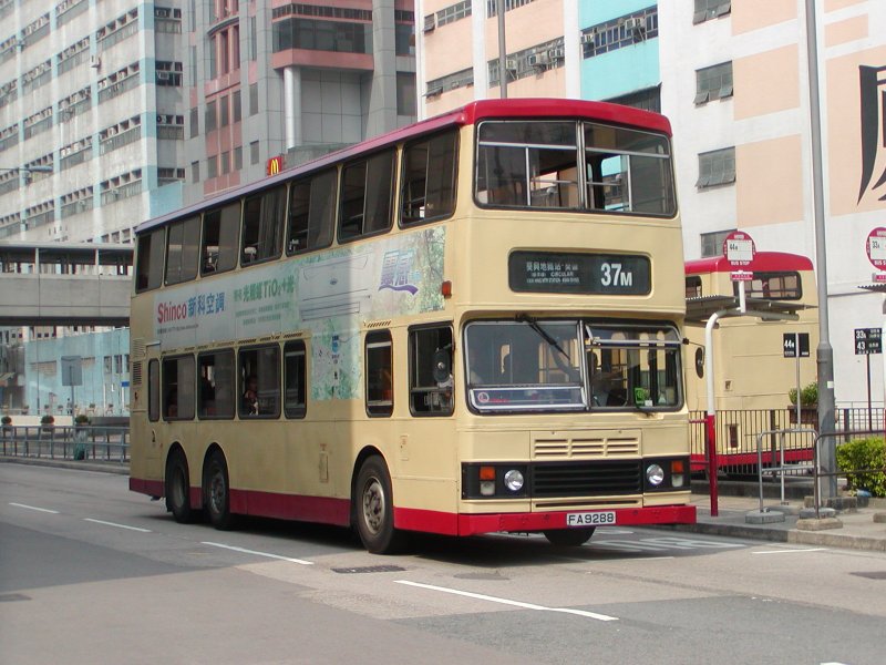 P1010143.jpg