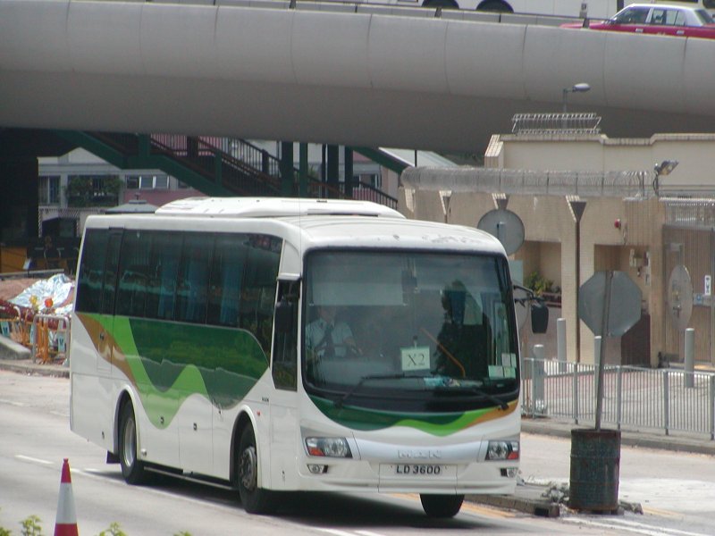 P1010105.jpg