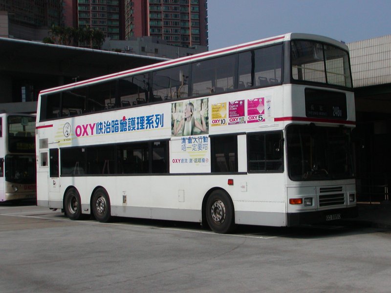 P1010003.jpg