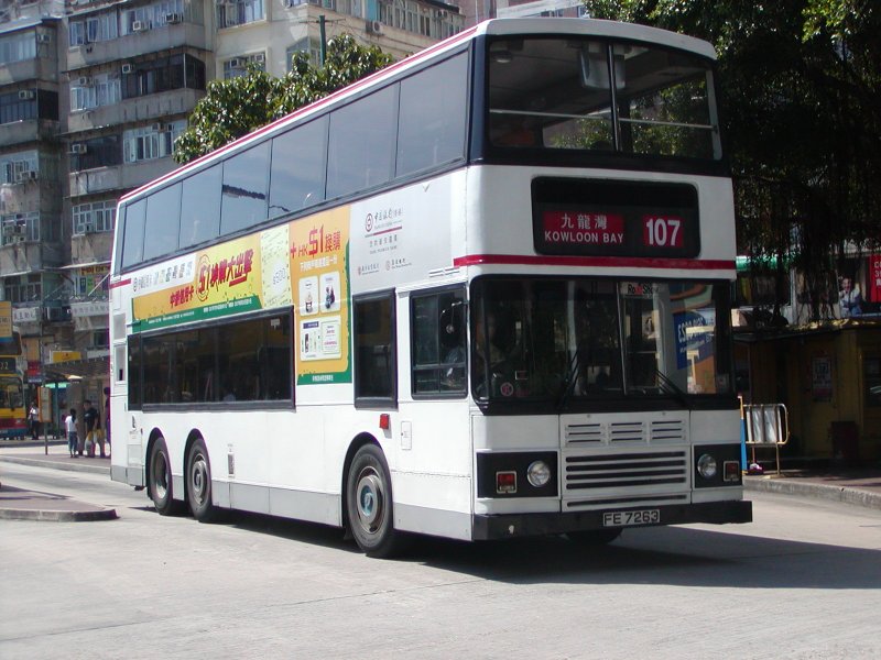 P1010001.jpg