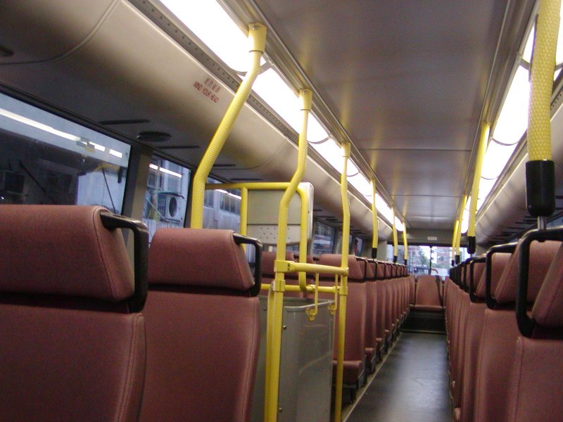 P1010074.jpg
