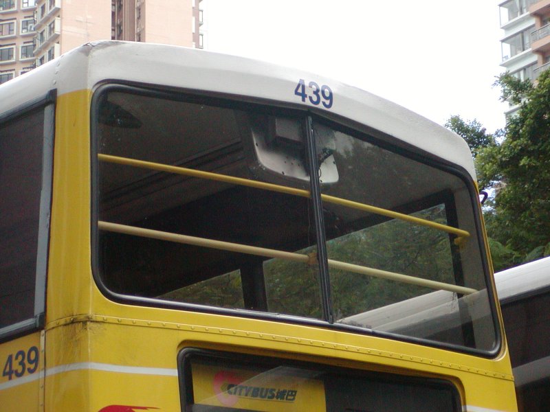 P1010008.jpg