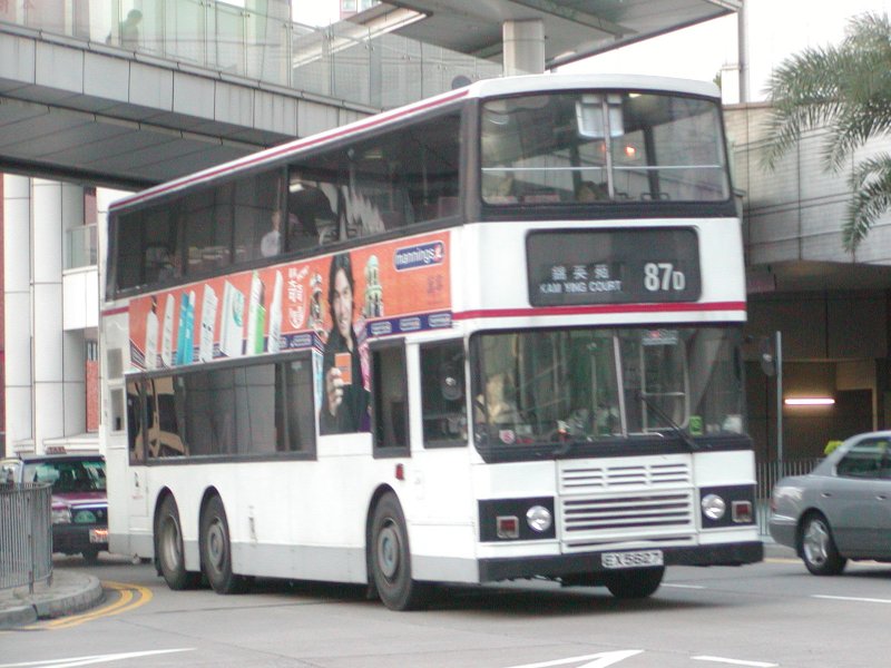 P1010025.jpg