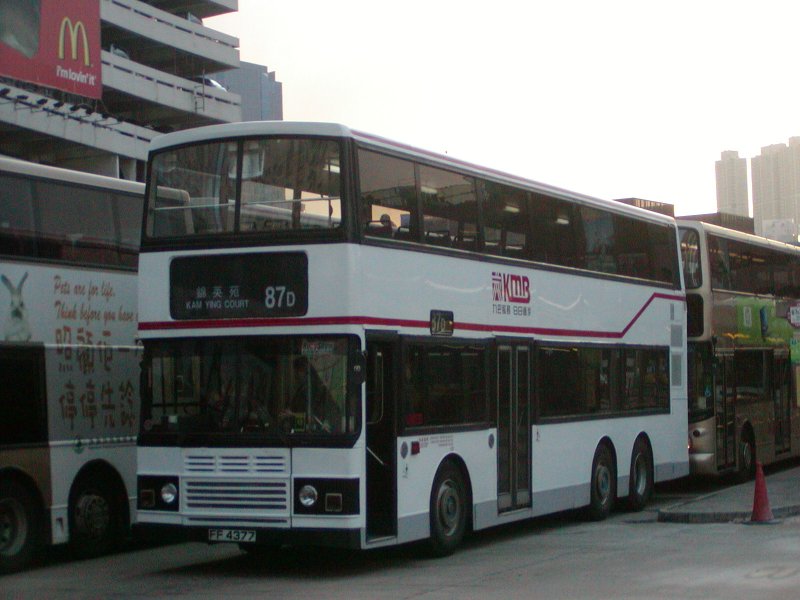 P1010030.jpg