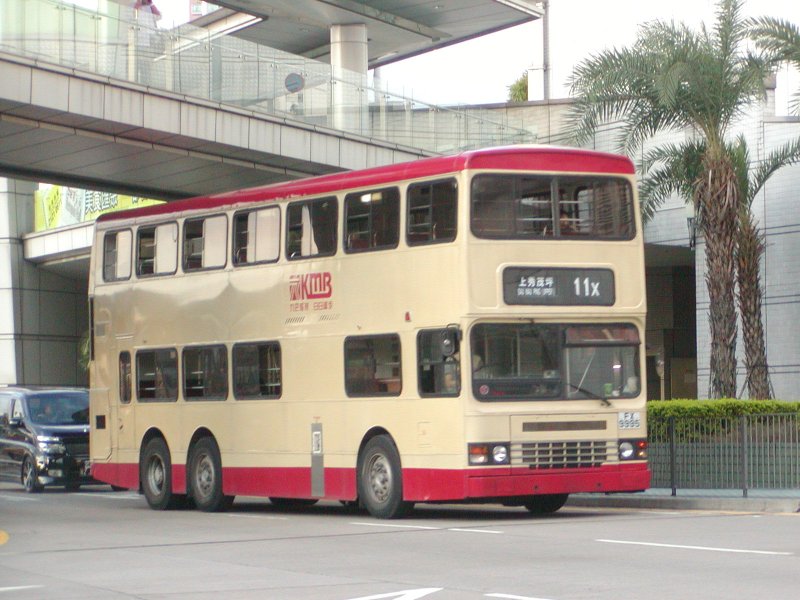 P1010020.jpg