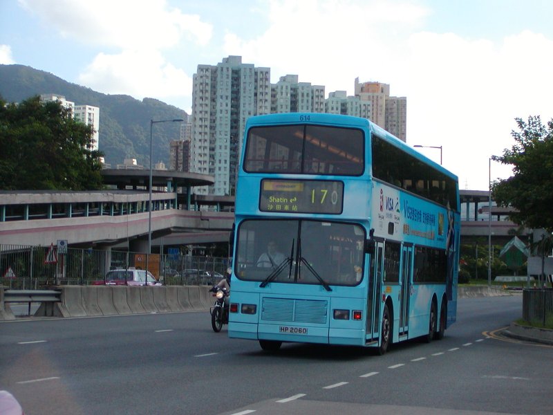 P1010022.jpg