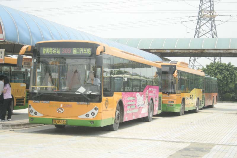 _MG_7901.jpg