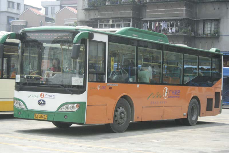 _MG_7981.jpg