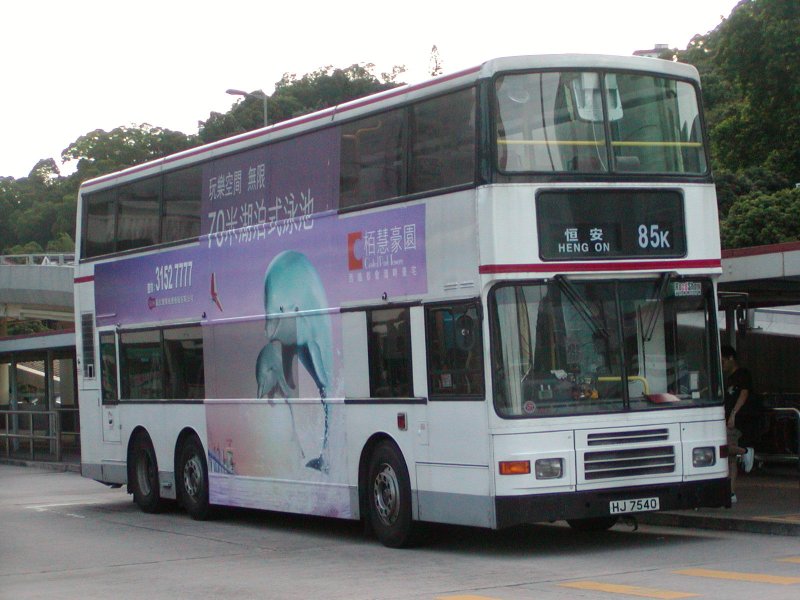 P1010048.jpg