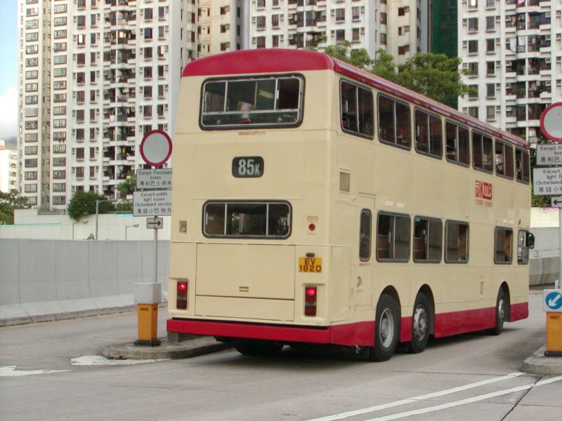 P1010042.jpg