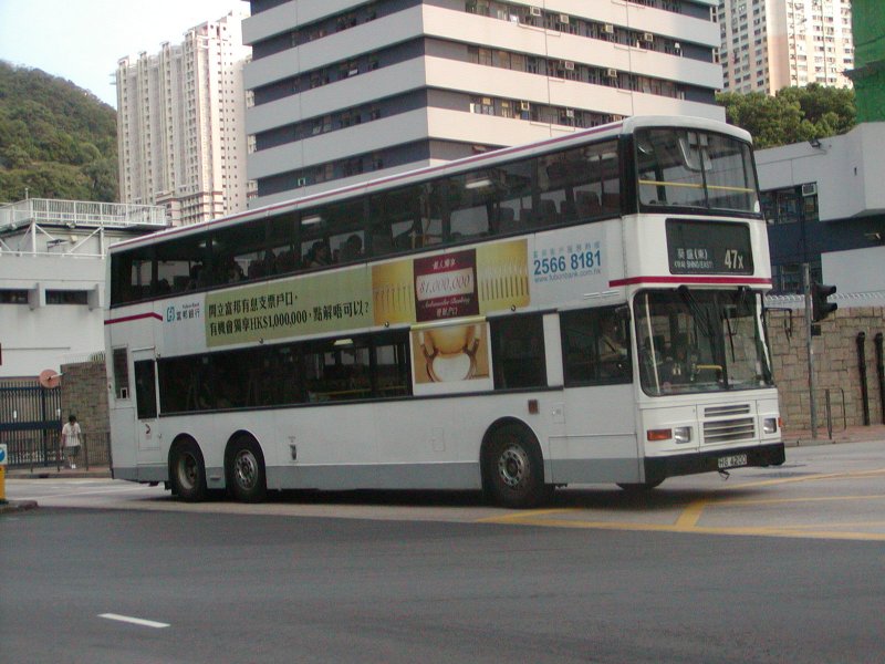 P1010055.jpg