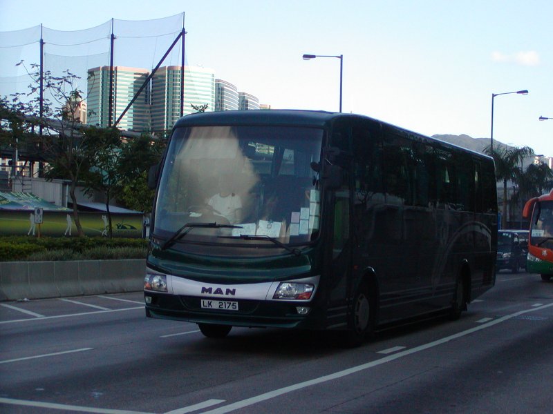 P1010079.jpg