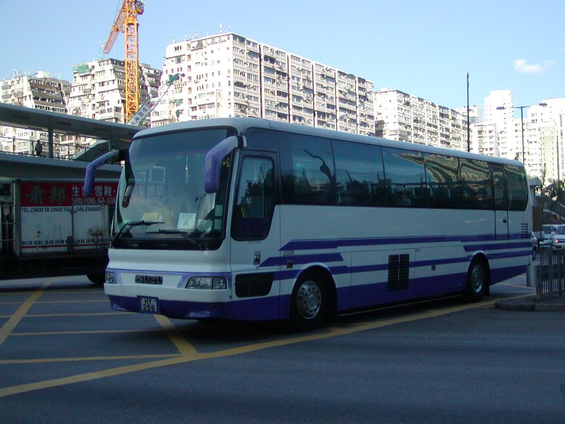 P1010074.jpg