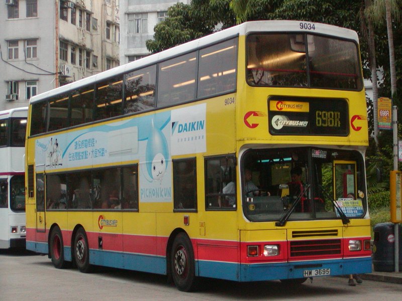 P1010045.jpg