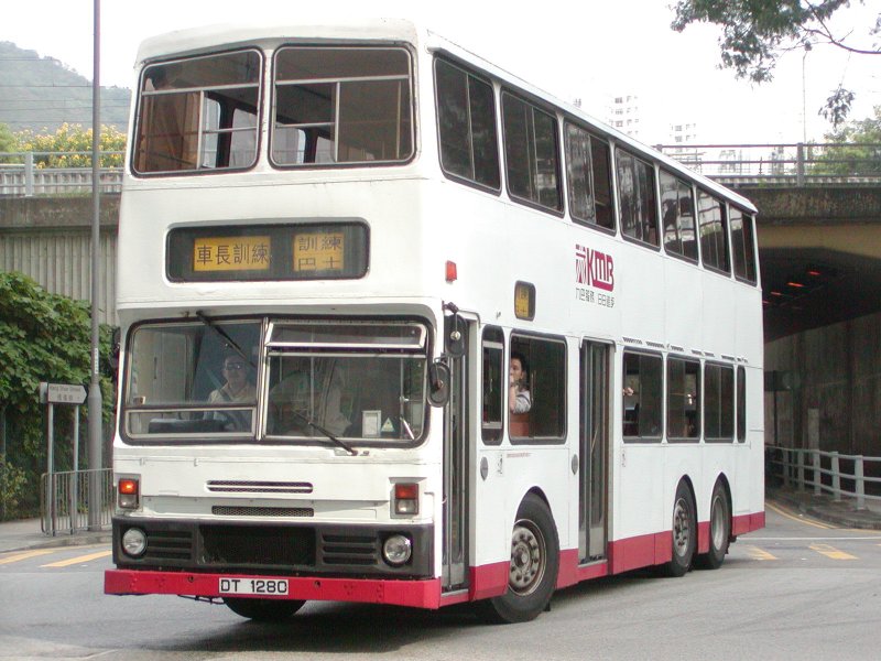P1010054.jpg