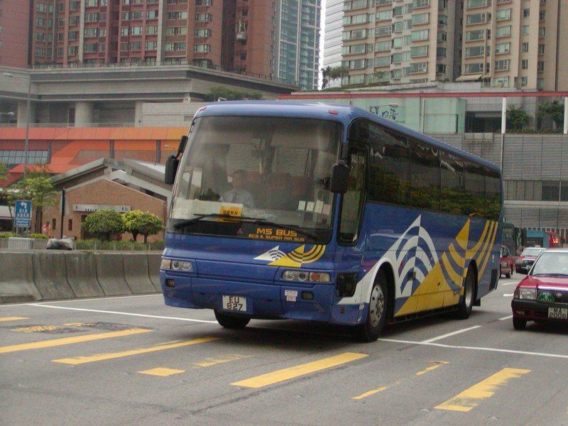 P1010005.jpg