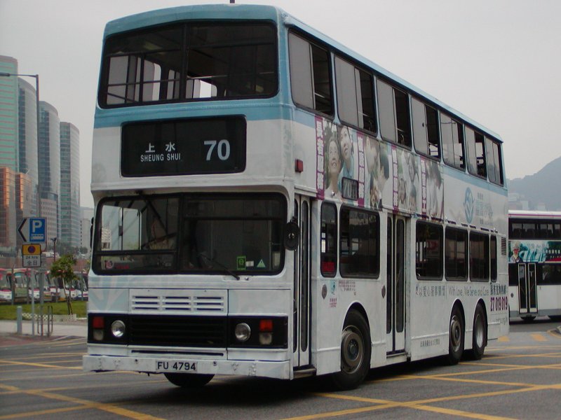P1010020.jpg
