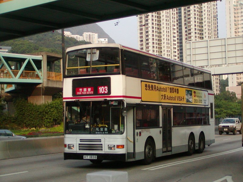 P1010041.jpg
