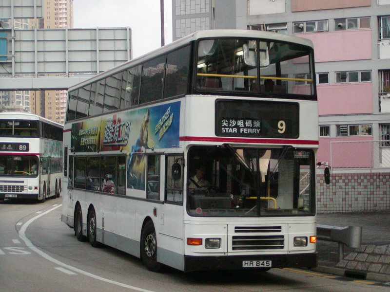 P1010010.jpg