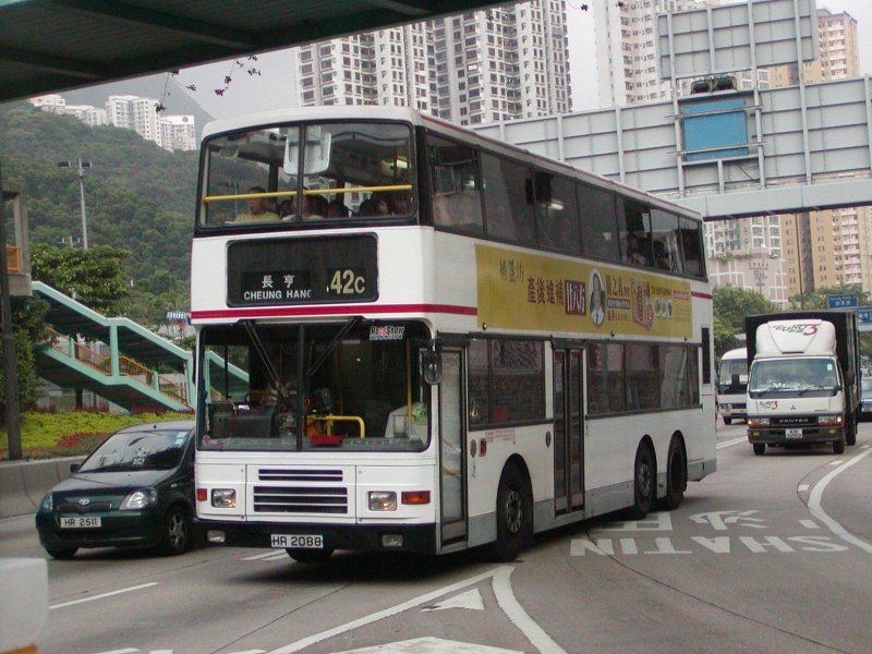 P1010006.jpg