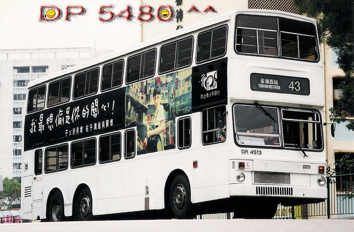 DR4513P.jpg