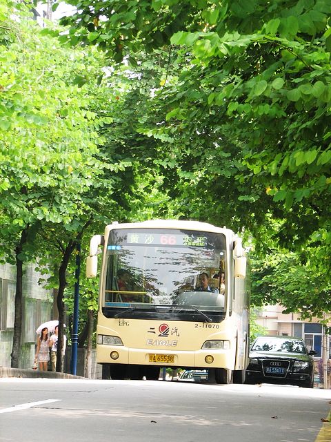 IMG_6249.JPG