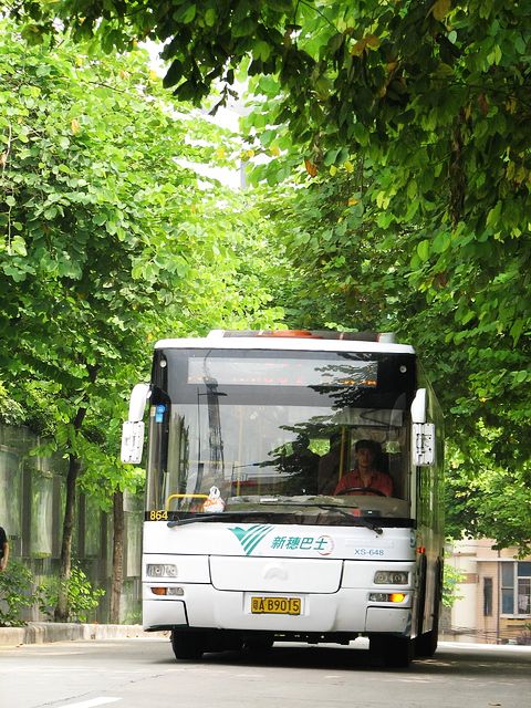 IMG_6253.JPG