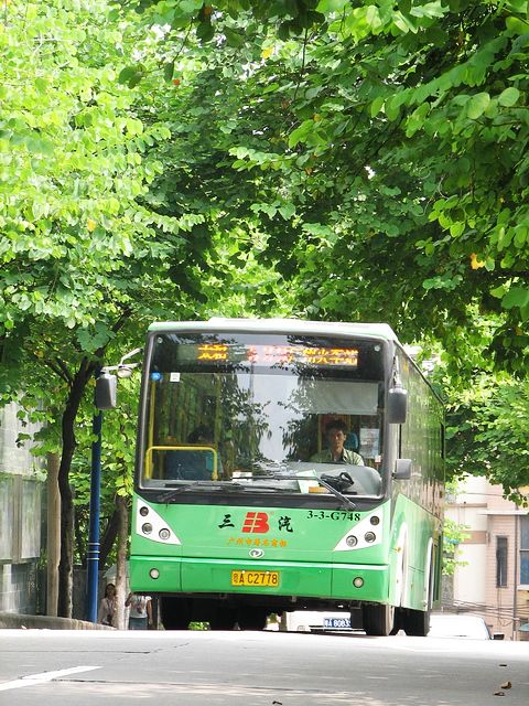IMG_6250.JPG