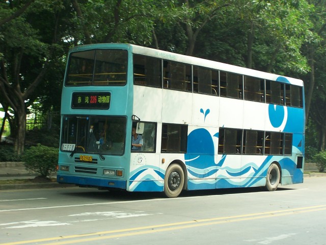100_6842.jpg