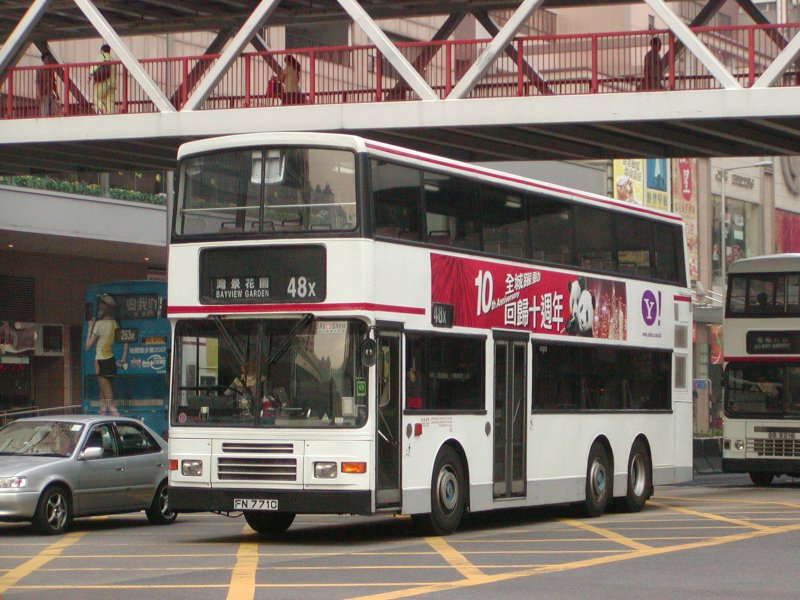 P1010019.jpg