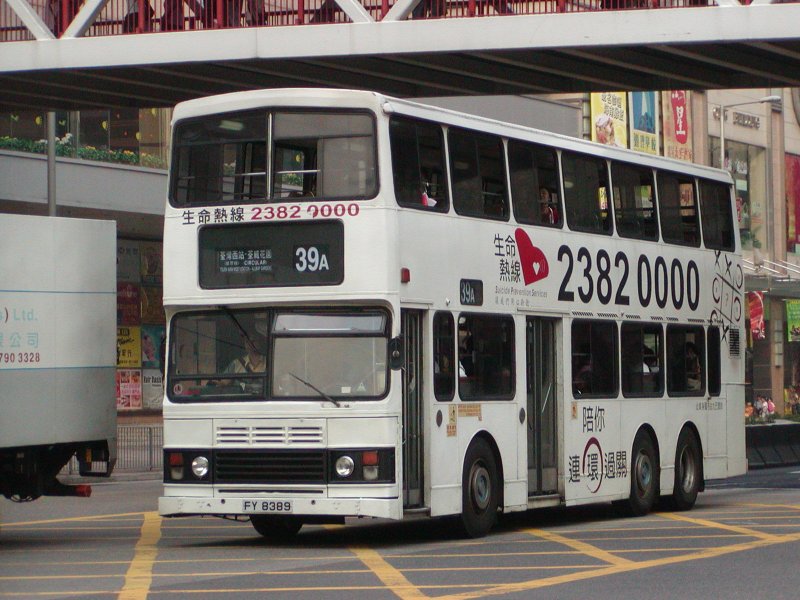 P1010001.jpg