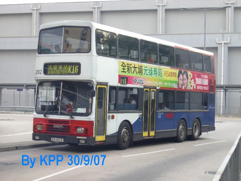 202a.jpg