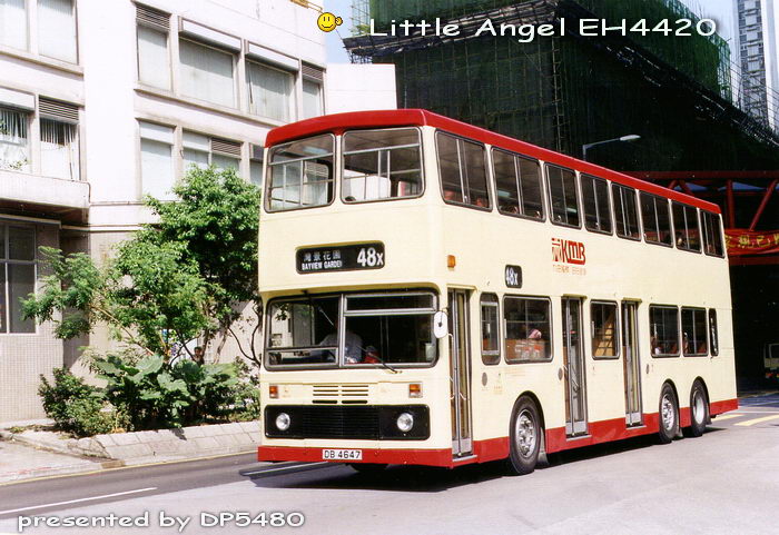 DB4647-3BL24_48X_H.jpg