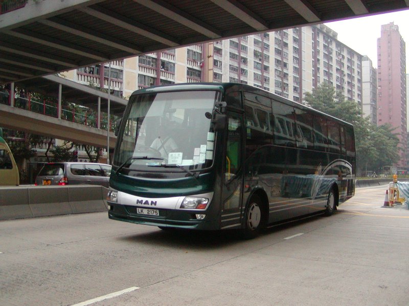 P1010004.jpg