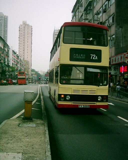 DSCI0119.JPG