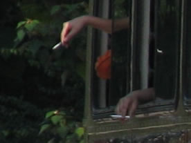 HANDS.jpg