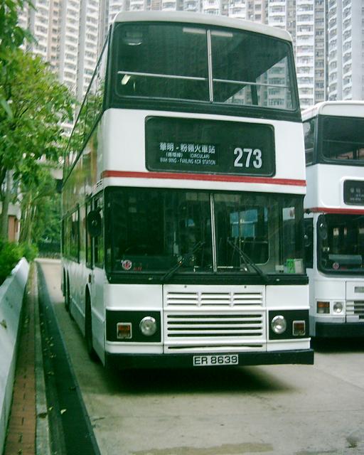 DSCI0167.JPG