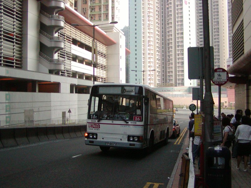 P1010001.jpg