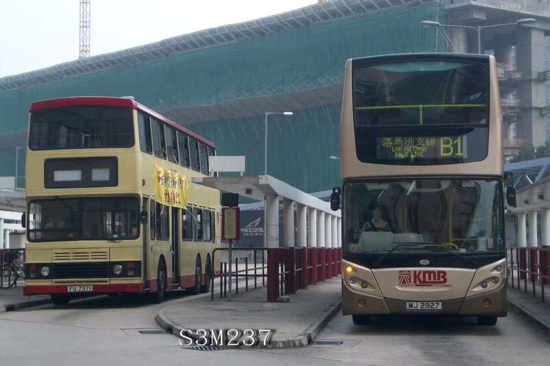 IMGP3852.jpg